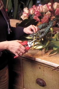 Felco 300 - nůžky vhodné k použití v květinářstvích