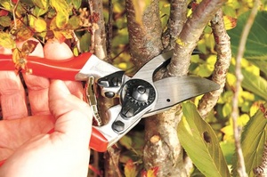 FELCO 8 - Snadné použití v sadech