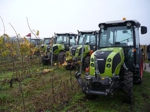 "Vinohradnický" traktor značky Claas Nexos 240F