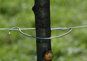 Plantfix 120 mm - Bezinal 2000 - spona pro fixaci kmínků