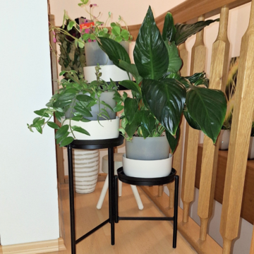 Stojan na kvetinac 42 cm + kvetinac Tolita 1