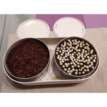 velka farma pro pestovani microgreens (1)