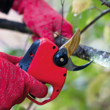 Elektrické nůžky FELCO 834W