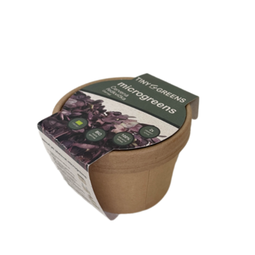 Microgreens pěstební kelímek červená ředkvička