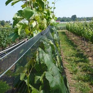 Ochranná síť šíře 2,7 m proti ptactvu, hmyzu a kroupám 5 m 