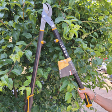 nuzky na vetve ALPEN (3) (1)