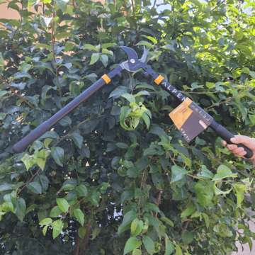 nuzky na vetve ALPEN (2) (1)