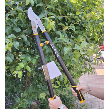 Weishorn 280 nuzky na vetve ALPEN (1) (1)