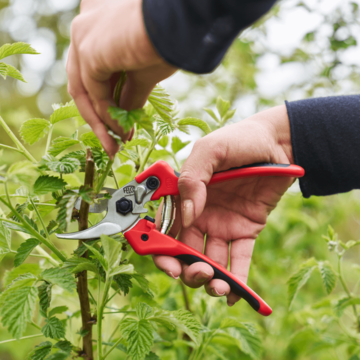 Zahradní nůžky FELCO 171M 