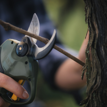 Elektrické nůžky ALPEN Wildhorn 32_1