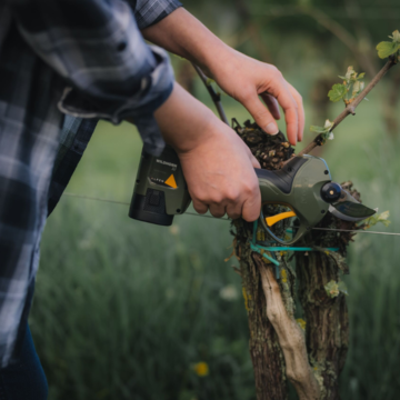 Elektrické nůžky ALPEN Wildhorn 32_2