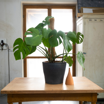 Zavlažovací nádoba olla zapichovací 