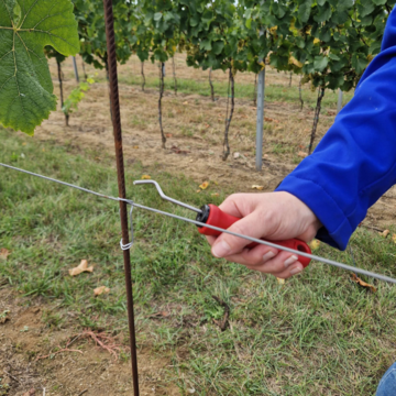 Háček pro instalaci spon Vignetinox 