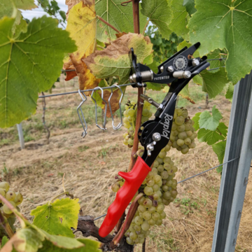 Kleště Rapid pro instalaci spon Vignetinox