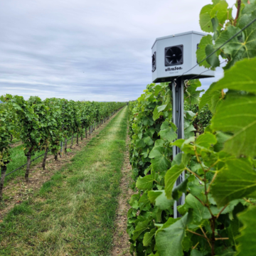 Ultrason plašič ptáků a zvěře 