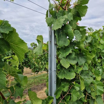 radovy sloupek Voest Alpine vinice (2)