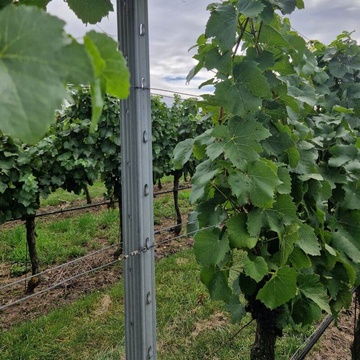 radovy sloupek Voest Alpine vinice (1) (1)