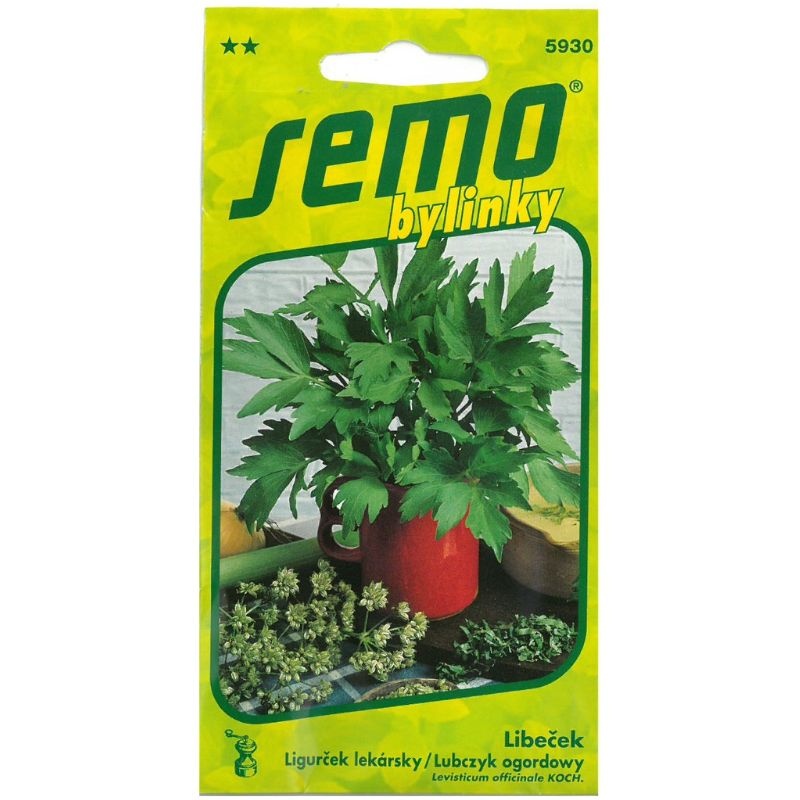 Libeček lékařský 