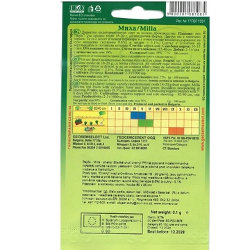 Rajče bulharské Milla