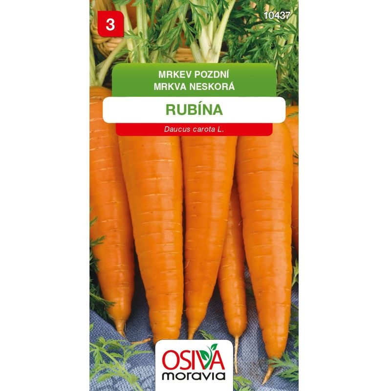 Mrkev pozdní RUBÍNA 