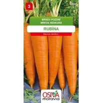 Mrkev pozdní Rubína 
