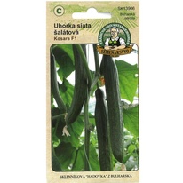 Okurka salátová KOSARA F1 (bulharské)