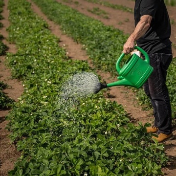 ZEMBIOTIKO půdní stimulant