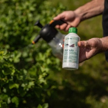 STIMULO biostimulant pro více květů a plodů (3)