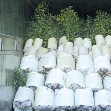 PLANTINBAG pěstební vak bílý uzavíratelný (1)