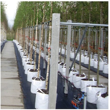 PLANTINBAG pěstební vak bílý uzavíratelný (2)