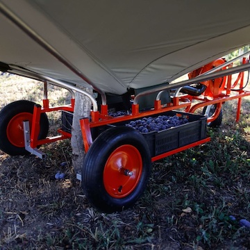 Sběrač setřásaného ovoce 