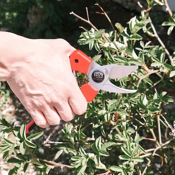 zahradnicke nuzky FELCO 171M (3) (1)