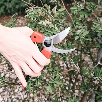 zahradnicke nuzky FELCO 171L 2 (1)