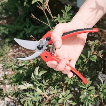 zahradnicke nuzky FELCO 171L (1)