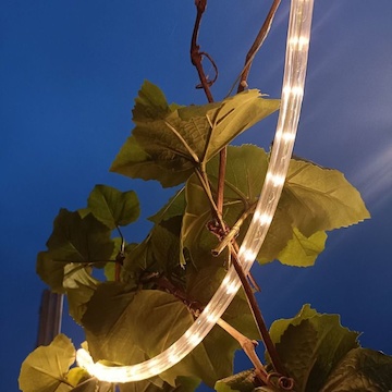 Frolight GARDEN infračervená protimrazová ochrana