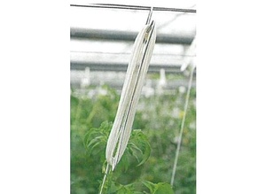 Tomatenhaken - hák se šňůrou pro vyvazování rostlin ve skleníku