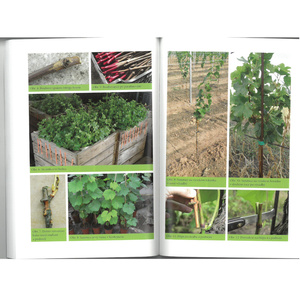 Pěstujeme stolní odrůdy révy vinné, 2. aktualizované a rozšířené vydání