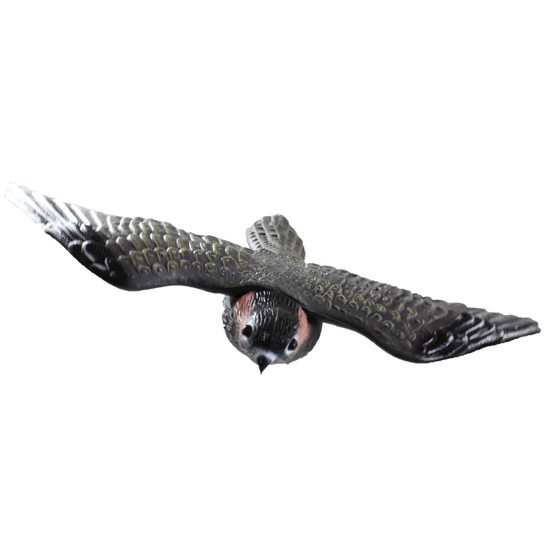 Létající sokol - maketa pro plašení ptáků