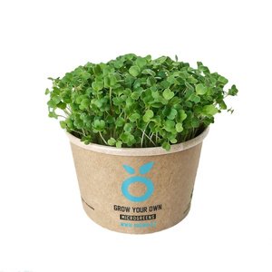 GROW KIT - sada pro pěstování microgreens