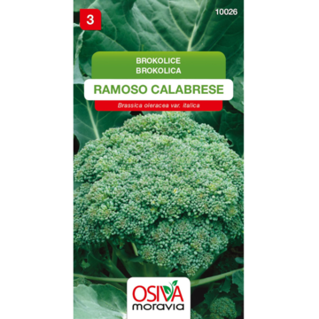 Brokolice RAMOSO CALABRESE