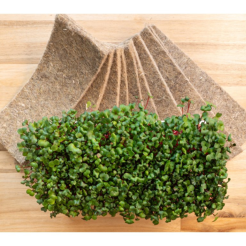 Konopná rohož na pěstování microgreens (8)