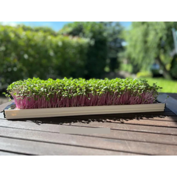 Sada Profi  na pěstování microgreens