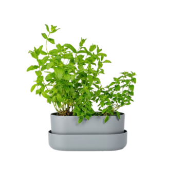 Truhlík s podmiskou šedý recyklát 