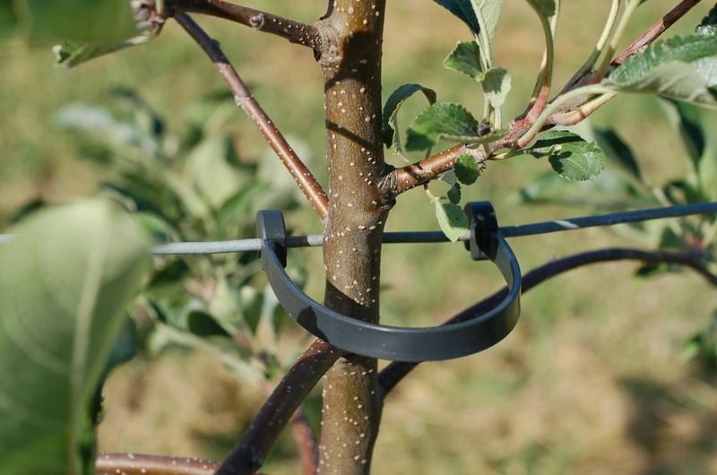 Pásek pro uchycení kmínků REMA STAMMHALTER 125 mm - balení 500 ks