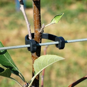 Pásek pro uchycení kmínků REMA STAMMHALTER 310 mm - balení 500 ks