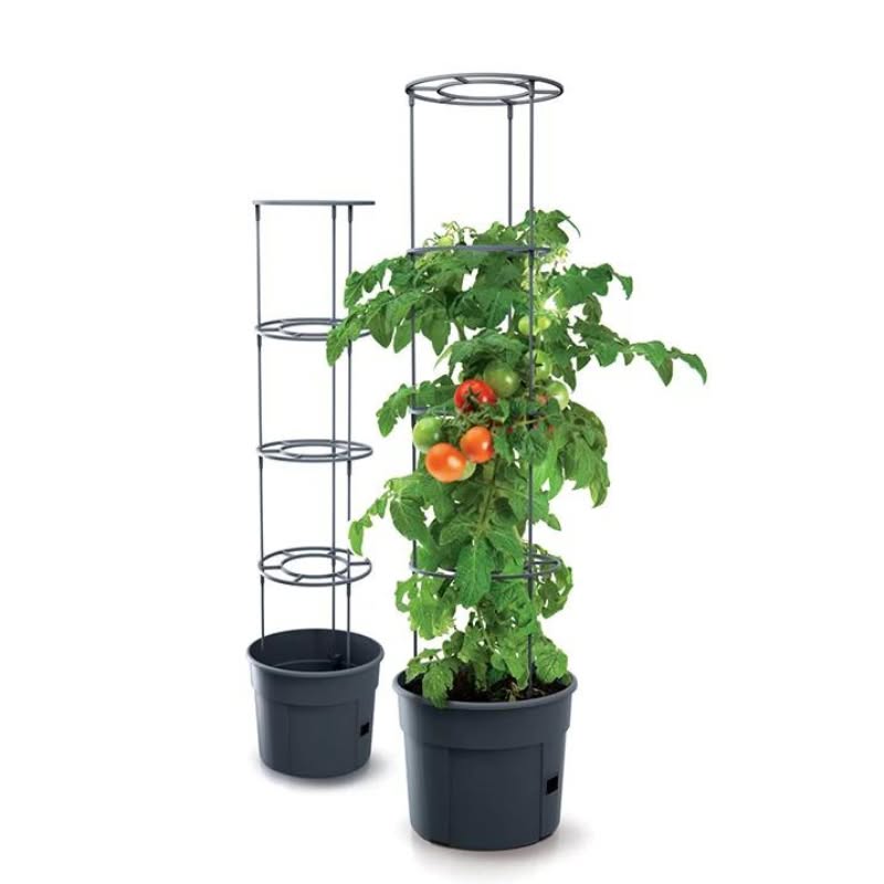 Vypěstujte si rajčata, papriky či okurky na balkóně či terase