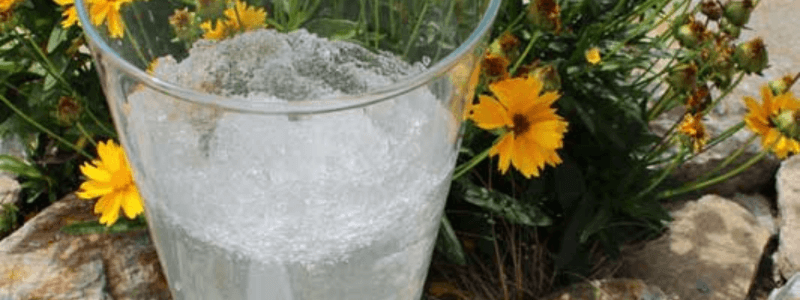 Hydrogel na pěstování rostlin – použití a zkušenosti